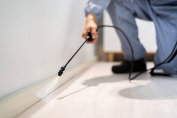 Licensed Pest Control service in Stanley County County, SD - Nex Pest Control