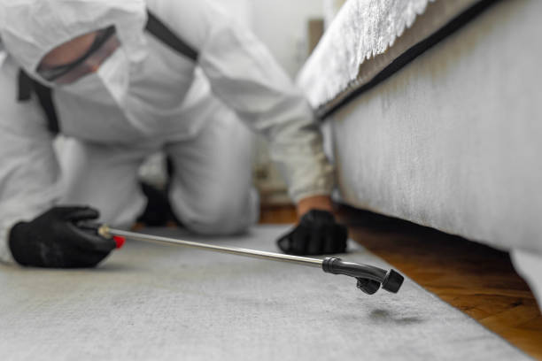 Professional Pest Control technician working in Stanley County County, SD